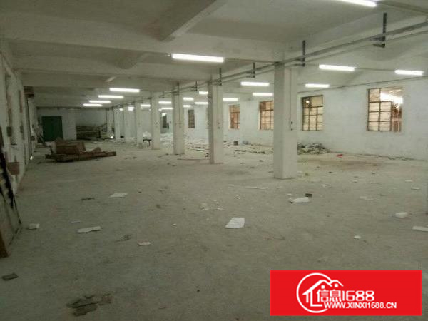 靓！惠州秋长独院厂房出租