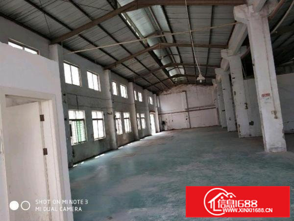 横沥新出原房东独院厂房厂房5000平米