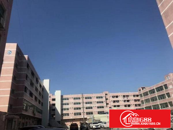 出租高埗镇高埗城区厂房