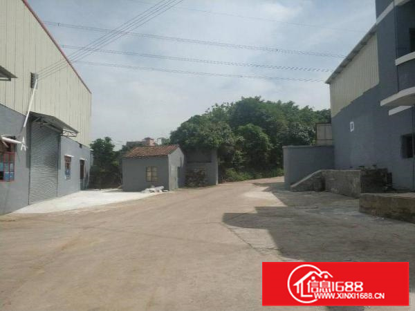 狮山7000平方（1000方分租）电大全新厂房出租