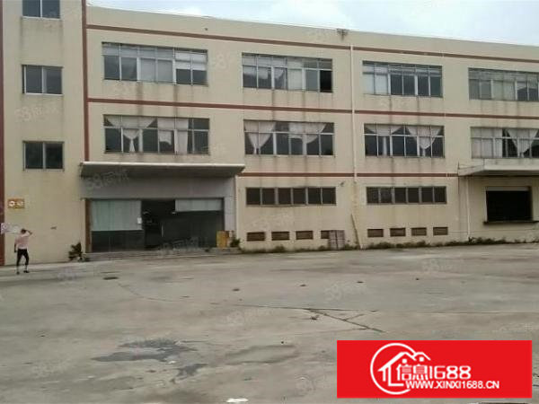 1000平起分观澜牛湖原房东独院39000平厂房出租，公摊小