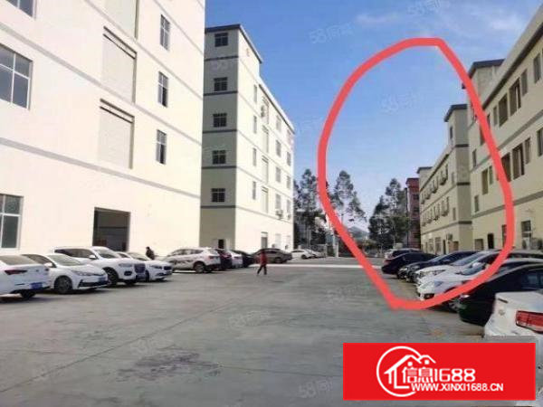 清溪罗马新出原房东实际面积出租独栋