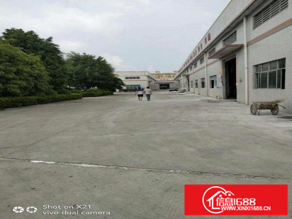 茶山卢边独院钢构厂房一层3500平方带装修