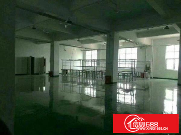 观澜新出楼上500平豪华装修厂房出租