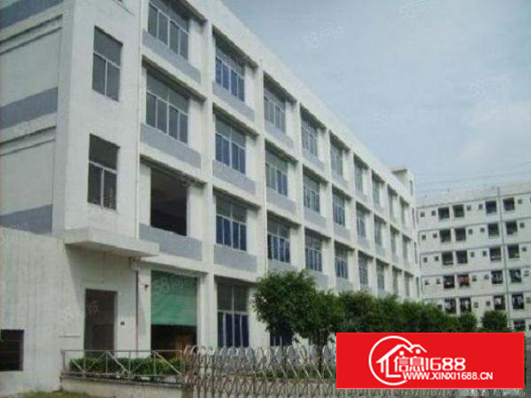 茶山新出原房东独院厂房分租三楼1350平方带地坪漆