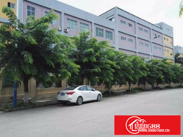 龙岗原房东3吨电梯厂房出租1500平3000平实际面积