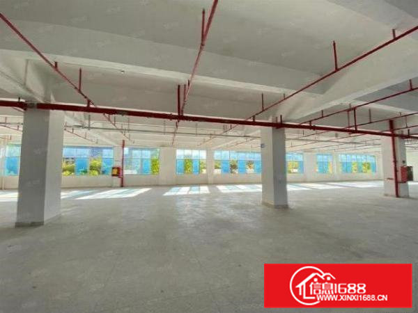 桥头东江楼上1090平原房东直租厂房水电装修齐全