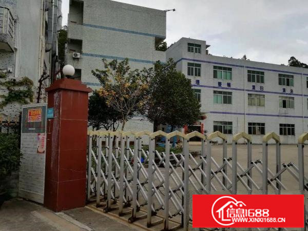 横岗新出标准独院厂房7800平，精装修近高速地铁