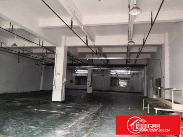 石排原房东一楼1300平方重工业标准厂房出租