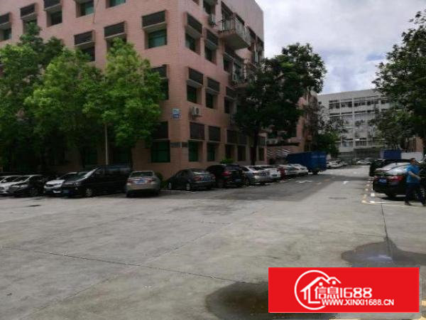 兴东地铁口3600平原房东红本带装修厂房出租，可分租