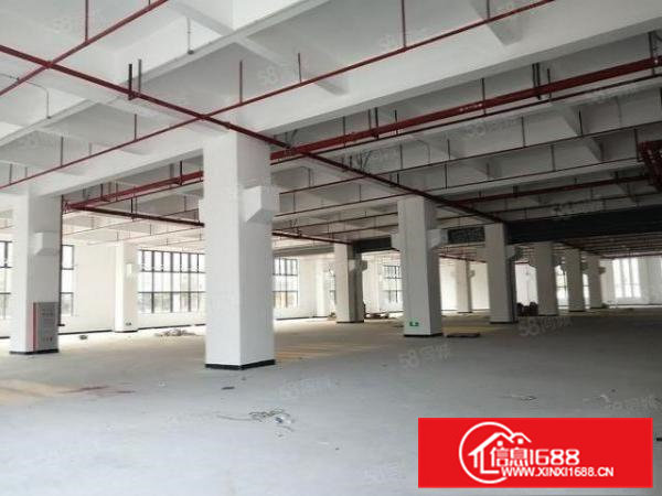 新出全新标准厂房，水电齐全，空地大，交通便利，易招工