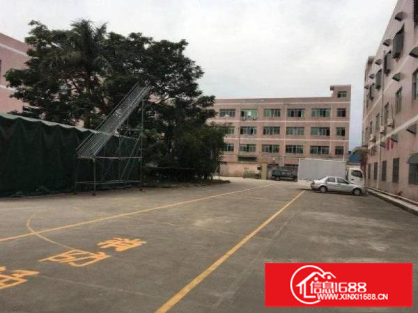 坪西原房东厂房出租一二楼各1200平米可分租