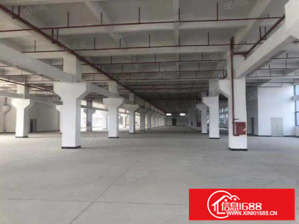 桥头新出原房东精装厂房带地坪漆，可办污染行业带红本