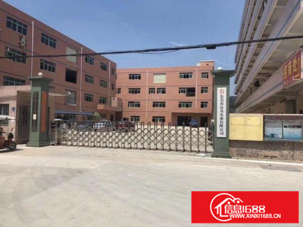 黄江原房东楼上1000平带装修可分租