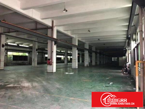 清溪厦坭村新出原房东一楼1480平带装修厂房出租（可分租）