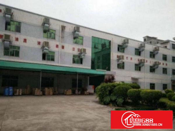 高埗带地坪漆水电现成装修一楼厂房1200平出租豪华装修办公室