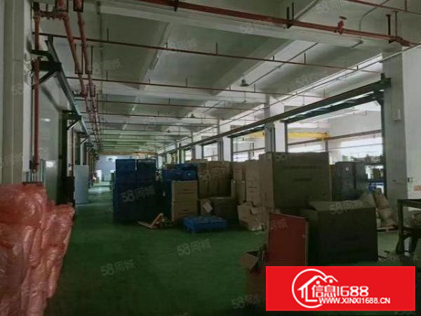 凤岗五联新空出标准厂房一楼7米高，合适各种行业