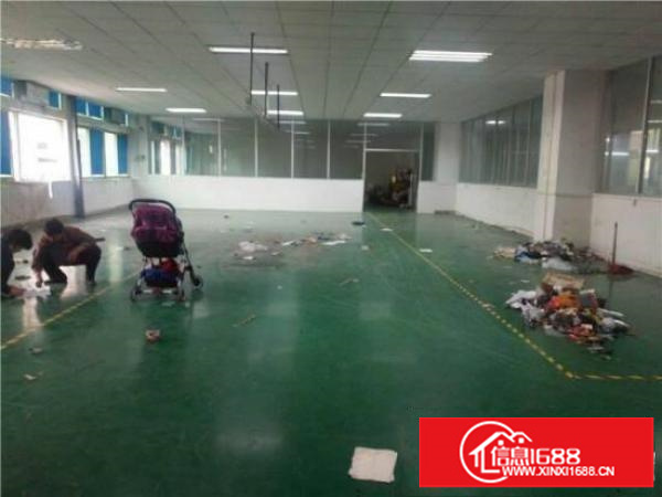 龙岗同乐新出独院一楼580平出租高5米