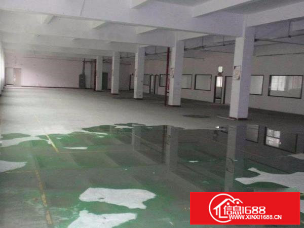 坑梓全新村委独院厂房6000平米出租