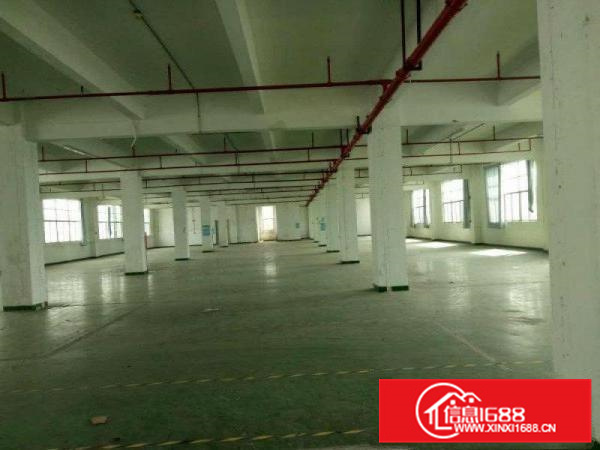 惠阳秋长西湖新出原房东花园式标准厂房出租