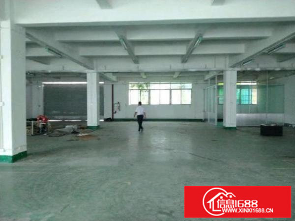 新出厂房大小可分大场地