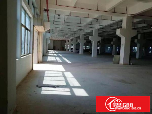 三栋数码园，原业主独院花园式厂房20000平方出租