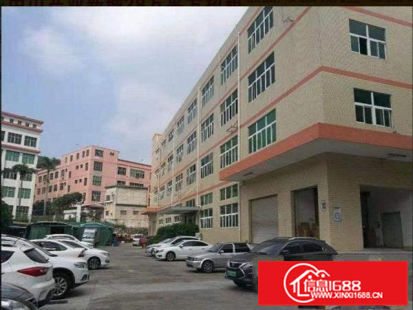 坪山宝山第三工业区新空楼上425平精装修水电齐全急租，带红本