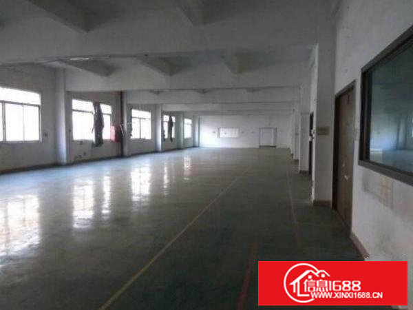 坂田！五和利金城科技园带装修厂房1600平方可分租