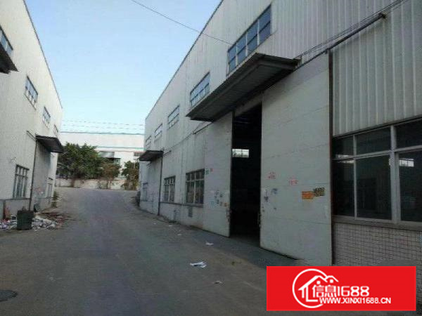 狮山成熟工业地段，新出12米高全新钢构厂房4200方