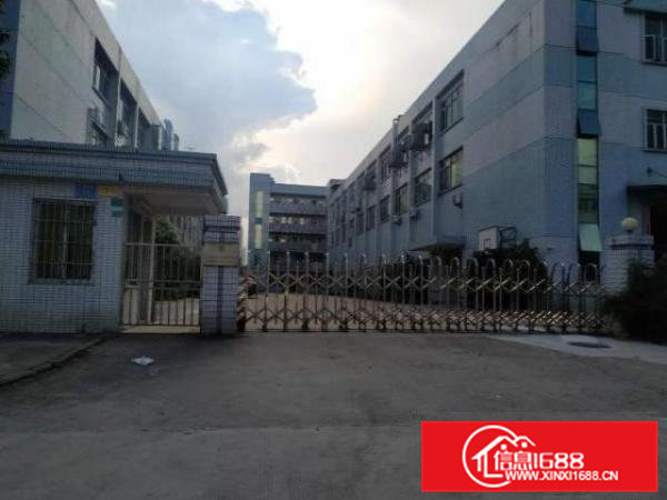 横沥新出原房东厂房出租