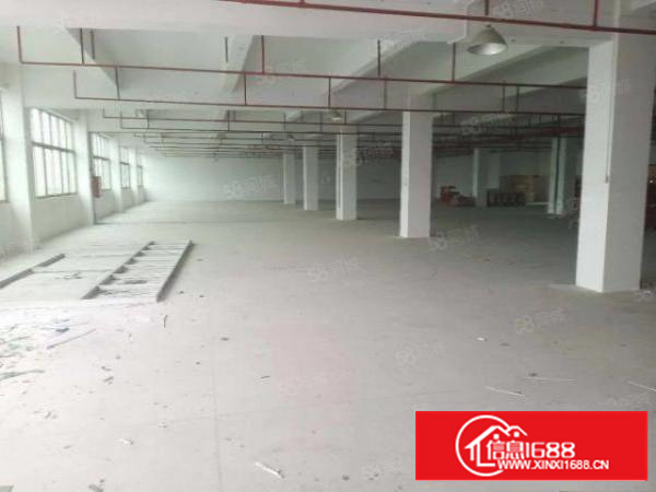 万江新出独门独院厂房6500方