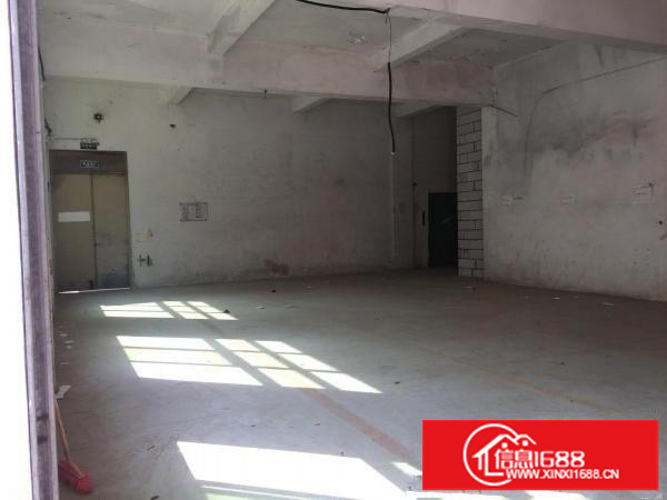 坪山石井新出红本厂房1200平