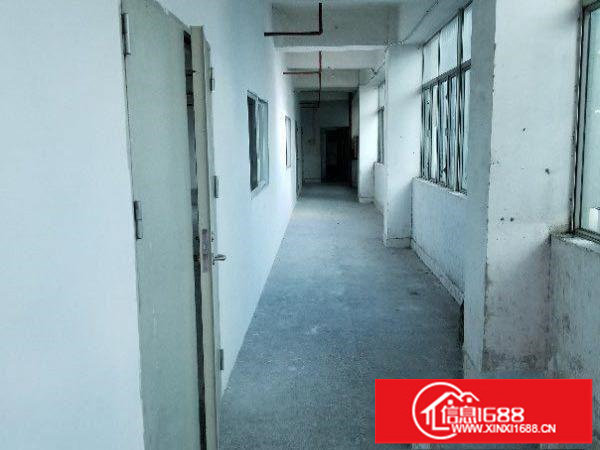 布吉丹平独栋厂房出租100平米起可分租金便宜