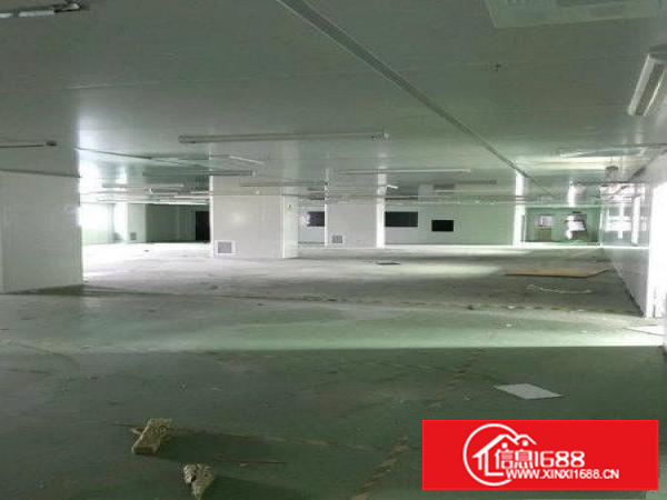 坪山碧岭工业区540平米2楼厂房出租，有红本有电梯