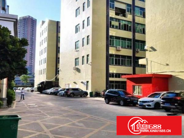 石岩应人石900平米带装修厂房业主招租