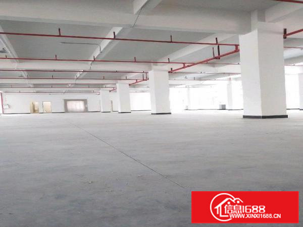 大朗新马连标准厂房出租，带水电装修，可直接生产