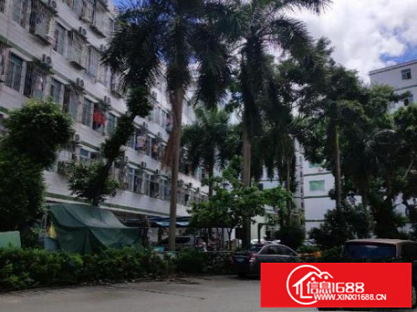 横岗方正漂亮独院厂房8800平出租招租分租整租