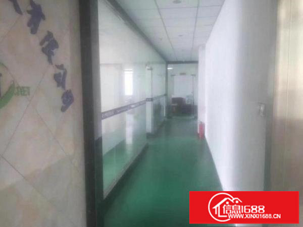 15元出租龙岗龙东义乌附近400平精装修办公室