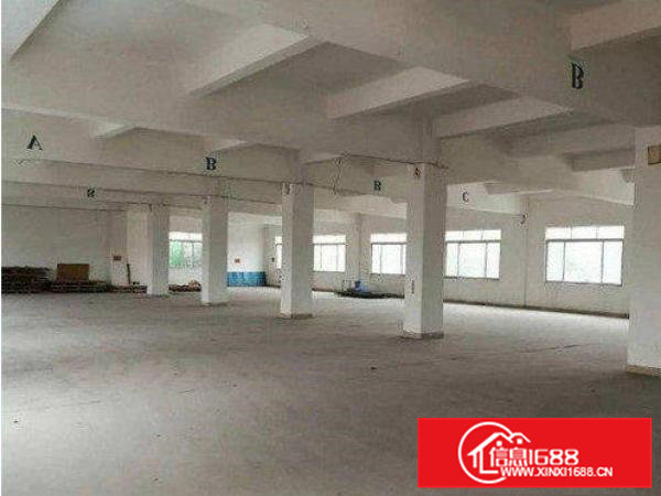 清溪三中独门独院3000平米厂房带办公室装修