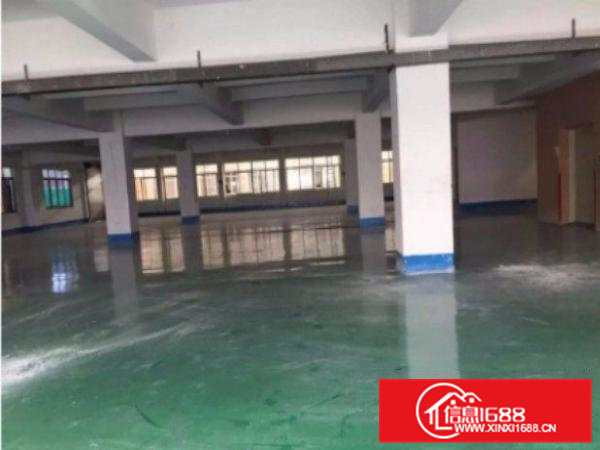 清溪樟木头独院标准厂房一楼1200平方出租精装修拎包入驻