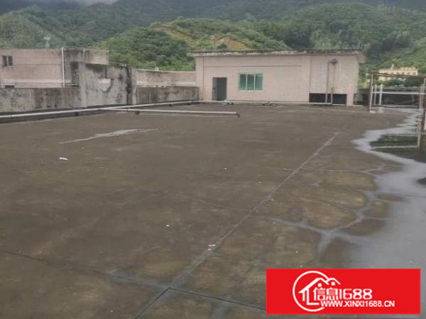 坪山区石井街道独栋独院可分租