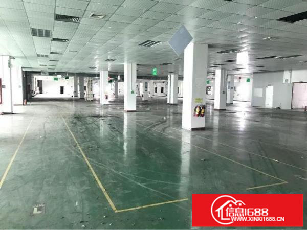 福永大洋田红本独院厂房22000平大小分租面积实在