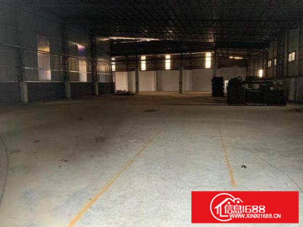 大岭山金桔新出独院2200平原房东钢构厂房招租