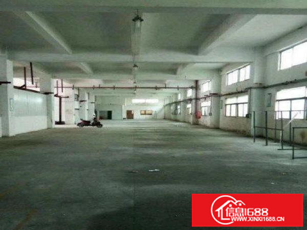 龙岗区坂田一楼520平水电办公齐全厂房