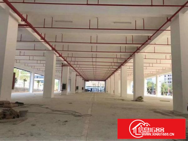 坪地新出独院厂房共12000平招租（可分租）