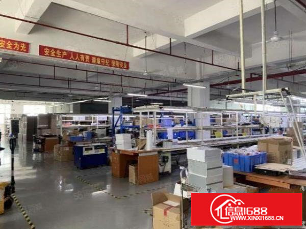 观澜观光路边上新出楼上豪华装修厂房2050平，形象好，空地大