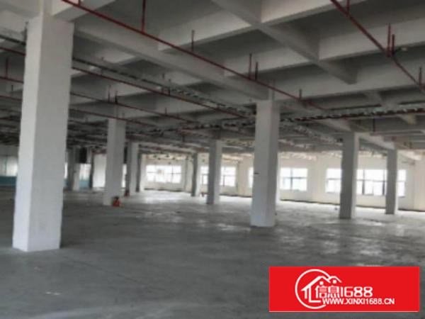 万江标准1800或1000平方出租配套齐全、易招工