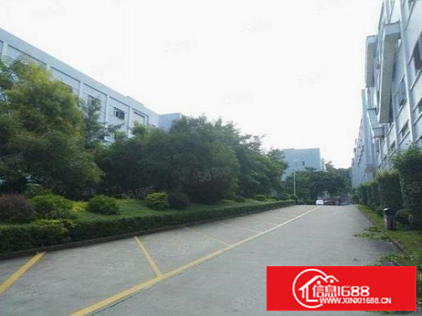 凤岗原房东首层中小面积宿改厂房出租特别适合仓库电商业使用