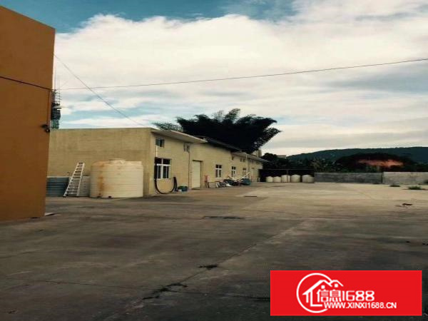 新圩约场原房东单一层独院厂房1400平方招租