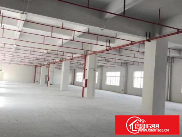 桥头镇独院全新标准厂房出租！1一5楼共7500平方米。